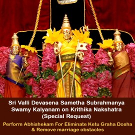 Sri Valli Devasena Sametha Subrahmanya Swamy Kalyanam on Krithika Nakshatra  (Special Request)